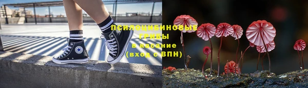 индика Вязники