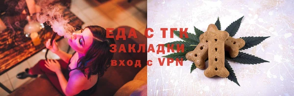 индика Вязники