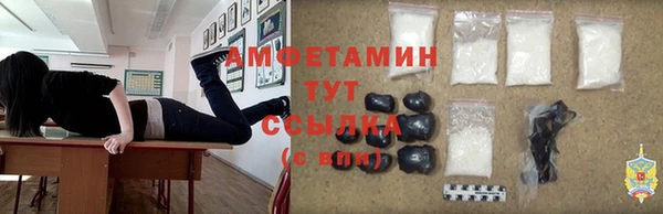 индика Вязники