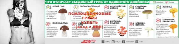 индика Вязники