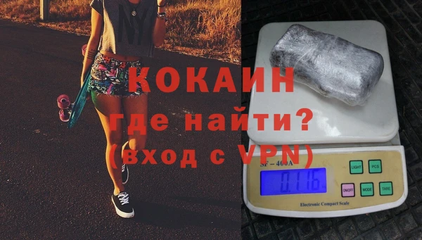 индика Вязники