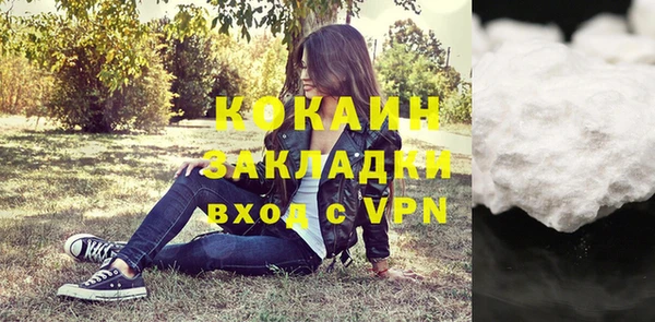 индика Вязники