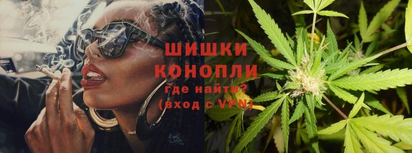 индика Вязники