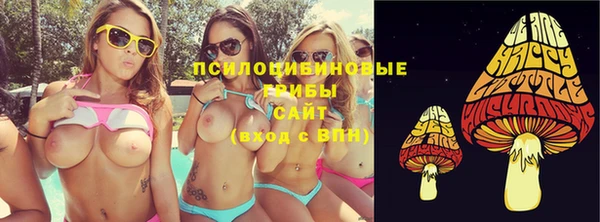 индика Вязники