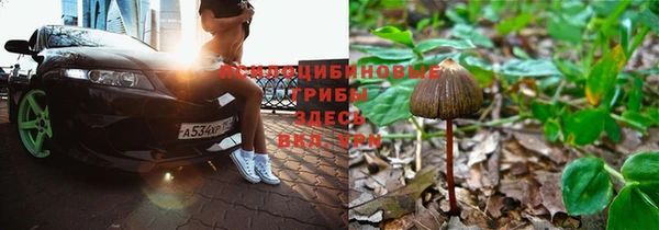 эйфоретик Вязьма