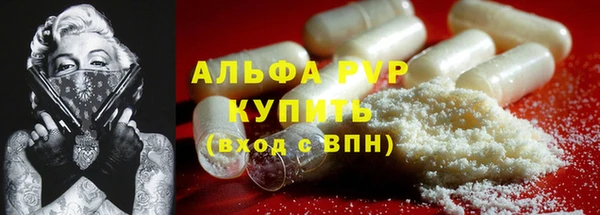 индика Вязники